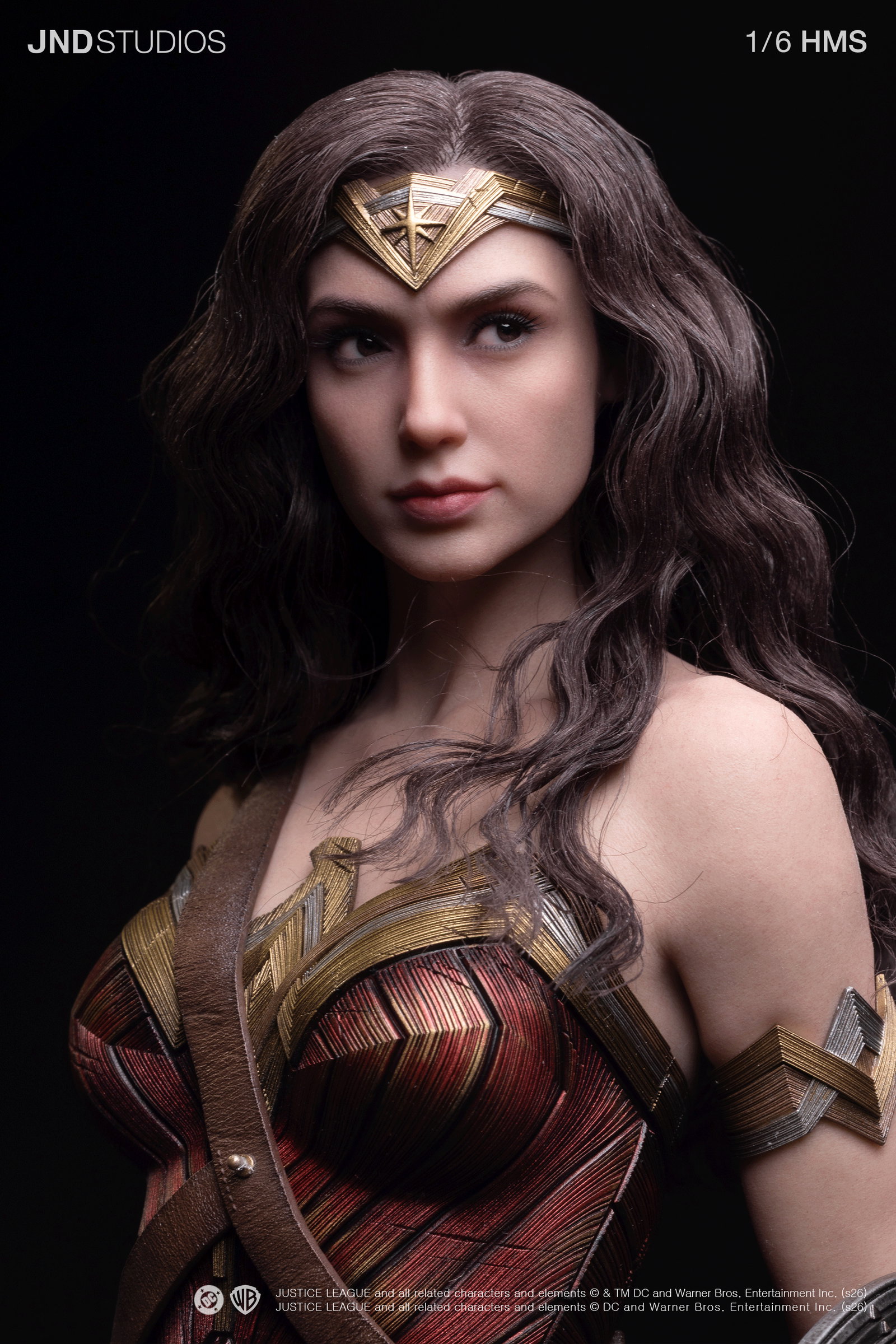 HMS DC JL Wonder Woman image 4
