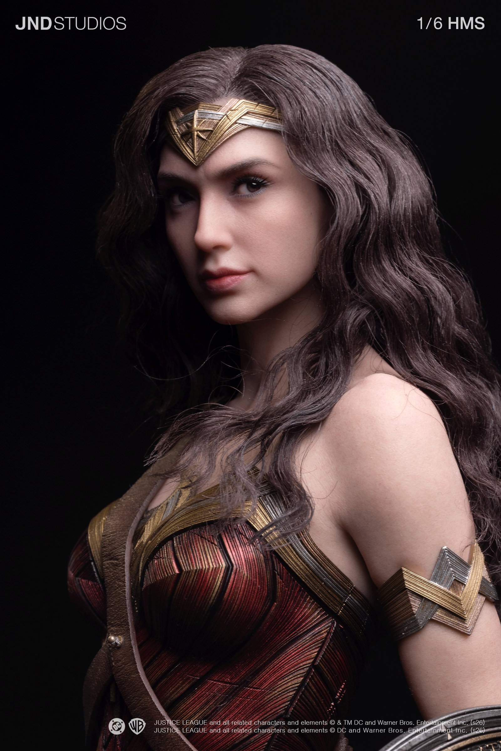 HMS DC JL Wonder Woman image 5
