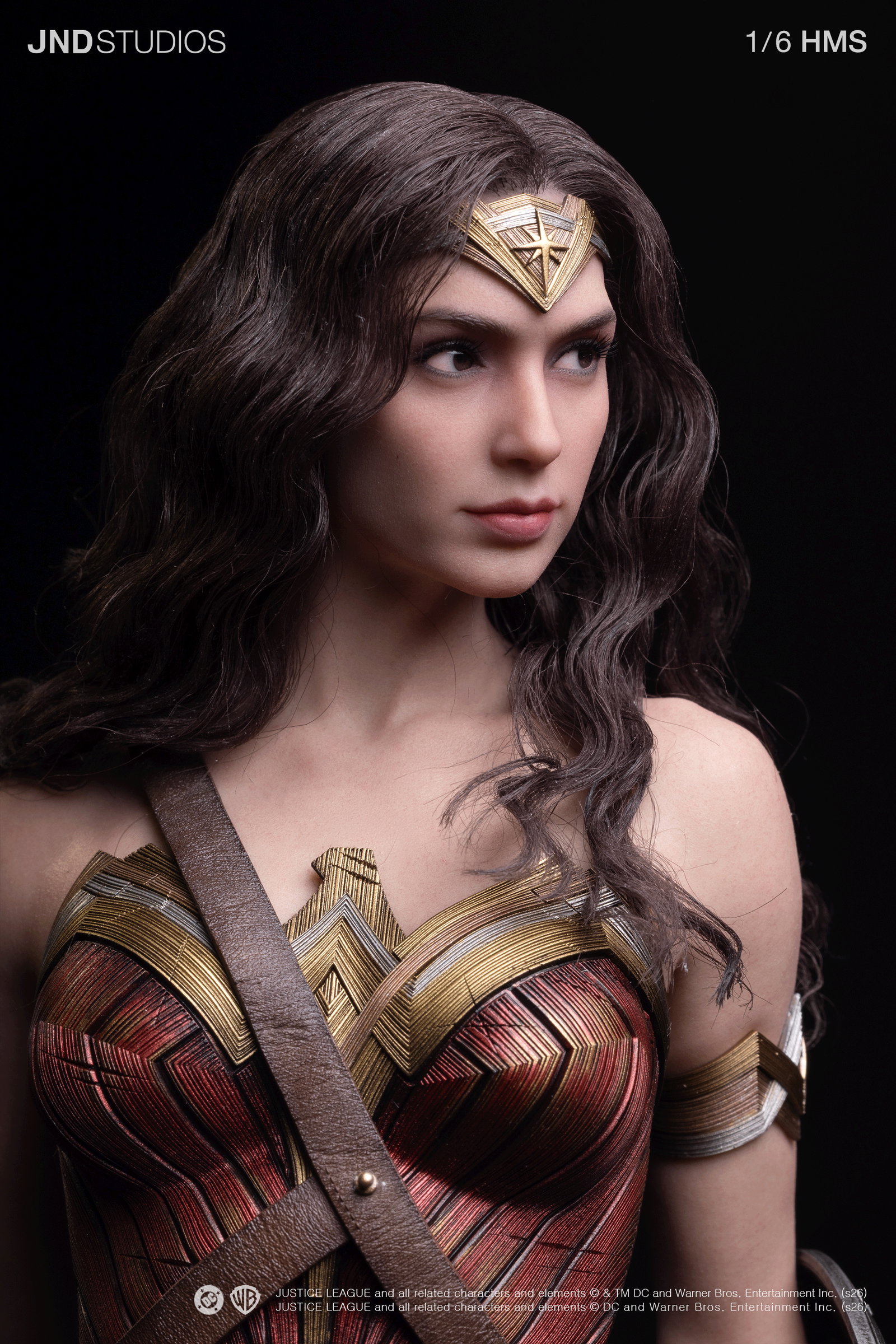 HMS DC JL Wonder Woman image 6