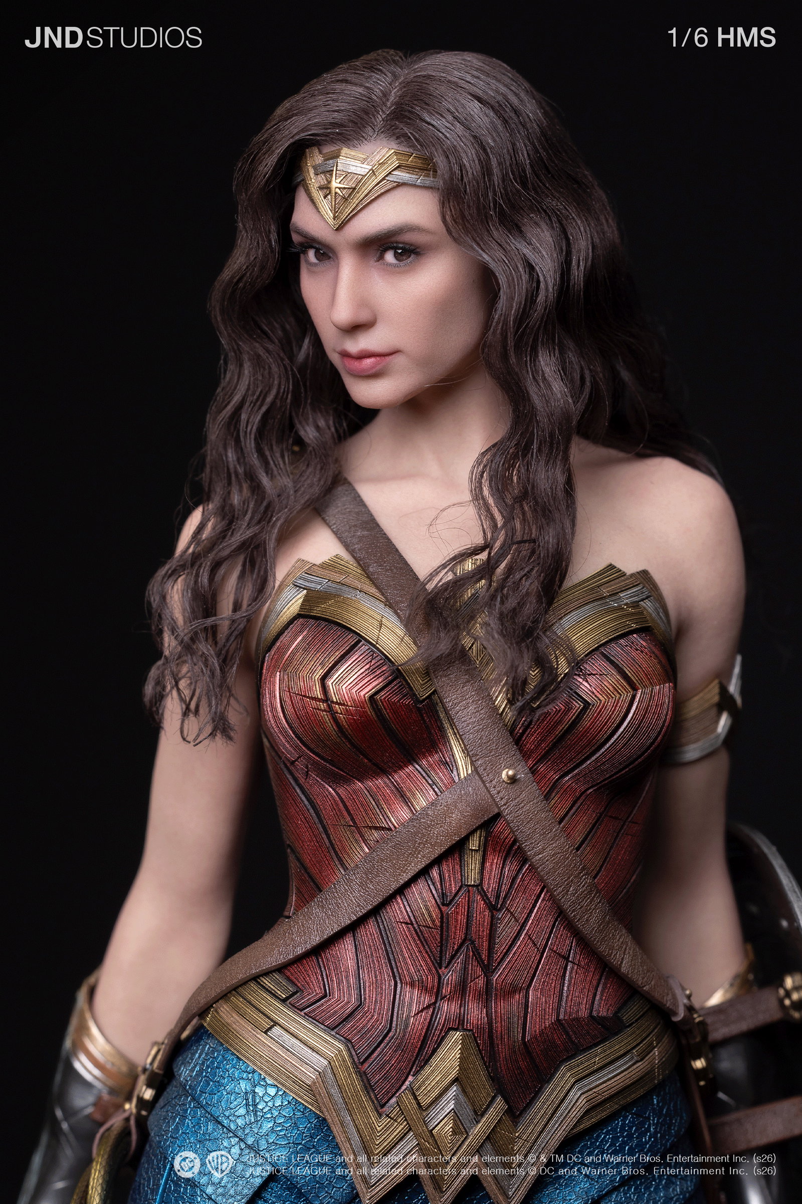 HMS DC JL Wonder Woman image 7
