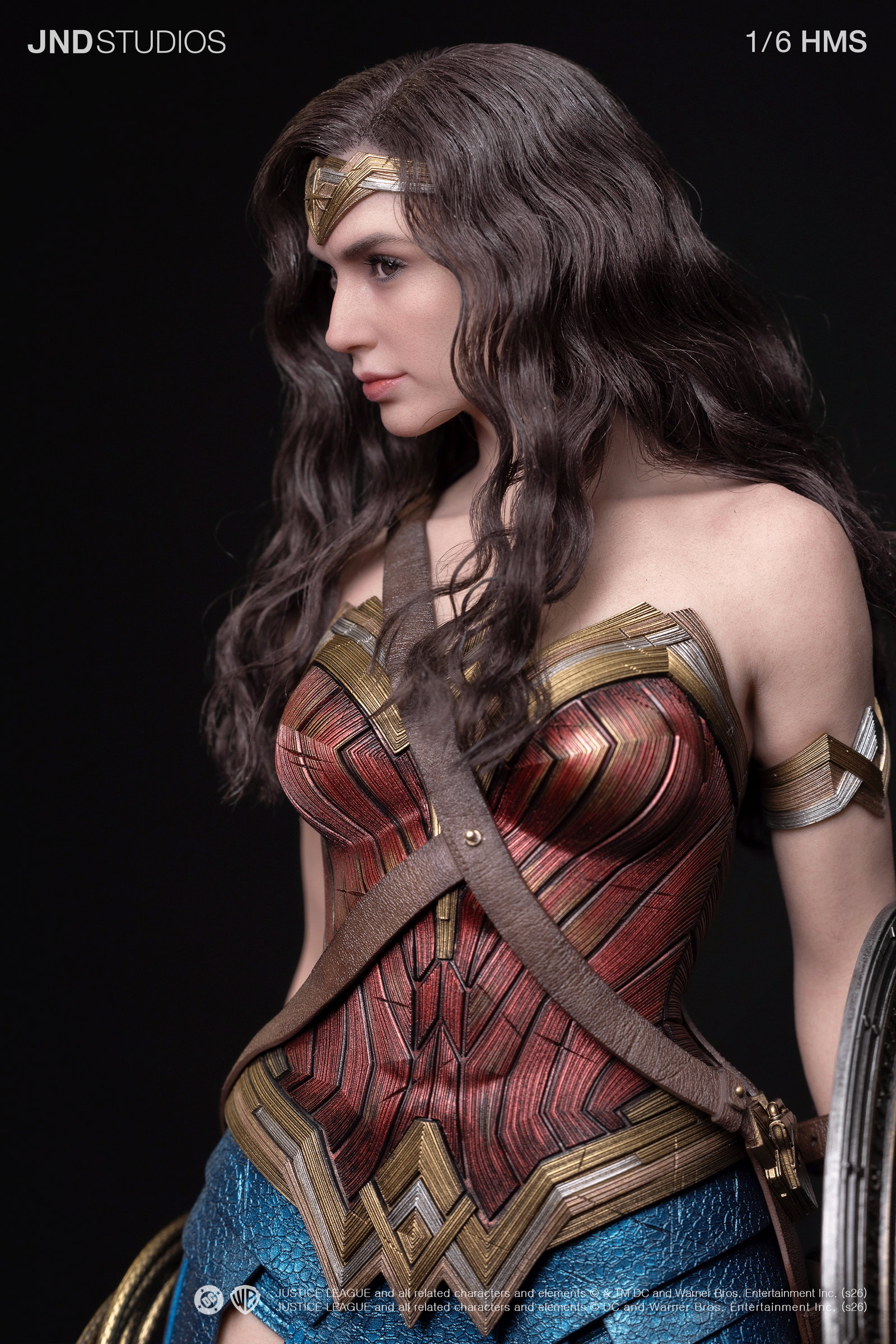 HMS DC JL Wonder Woman image 8