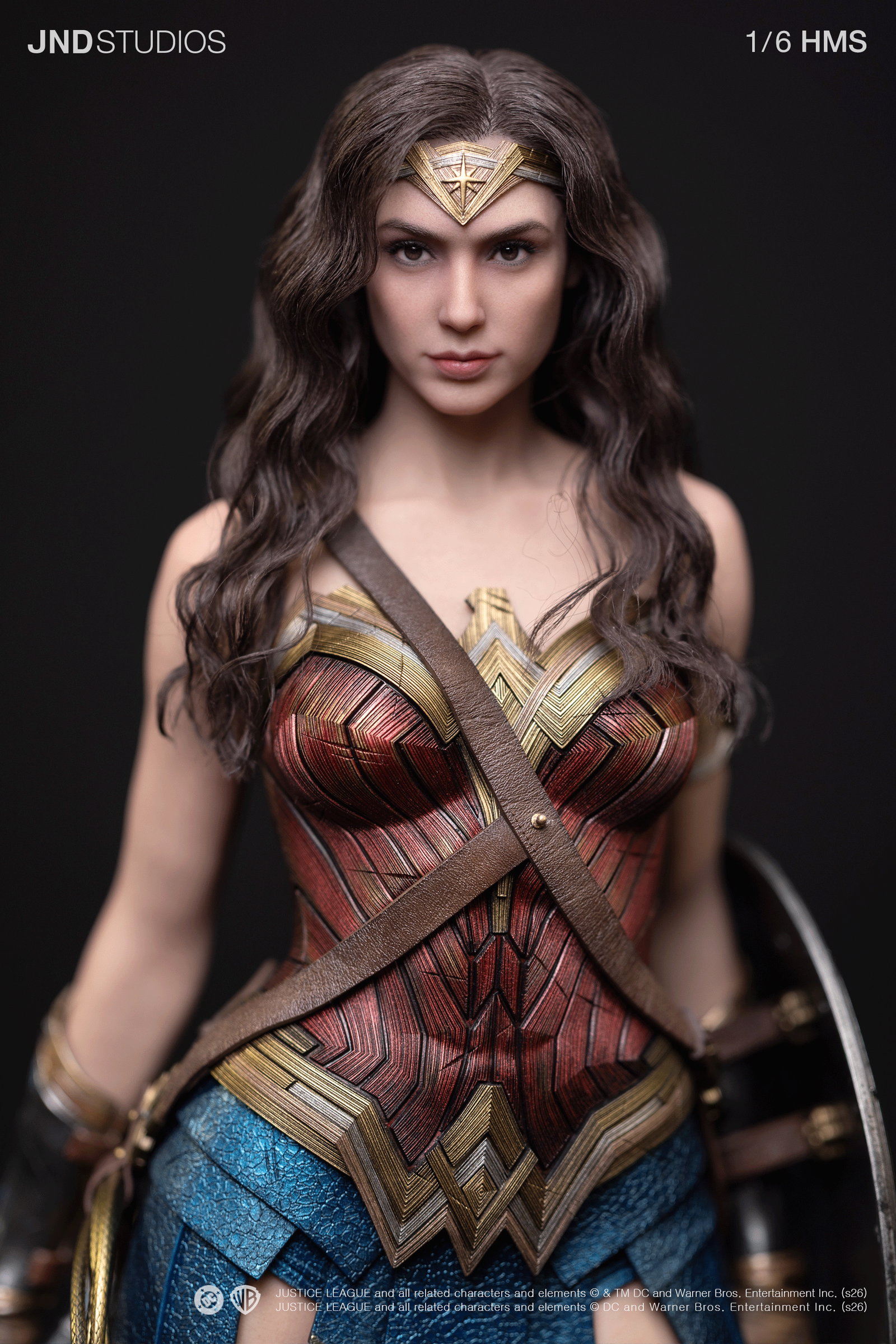 HMS DC JL Wonder Woman image 9