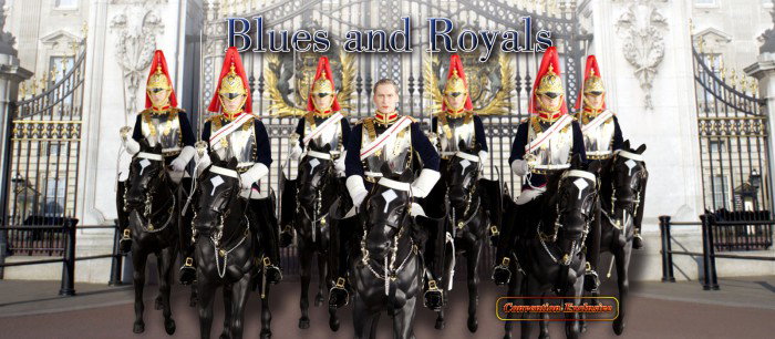 Blues and Royals (Convention Exclusive) image 3