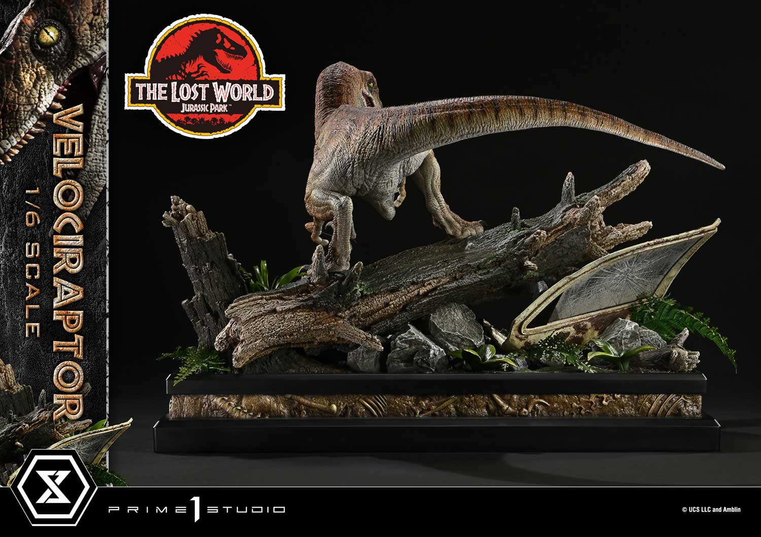 The Lost World: Jurassic Park (Film) Velociraptor image 10