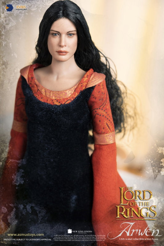 The Lord Of The Rings : The Return of the King - Arwen image 4