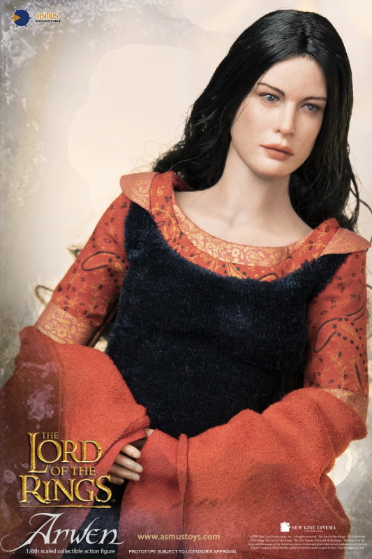 The Lord Of The Rings : The Return of the King - Arwen image 5