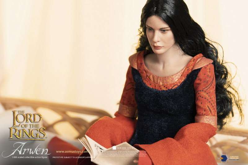 The Lord Of The Rings : The Return of the King - Arwen image 6