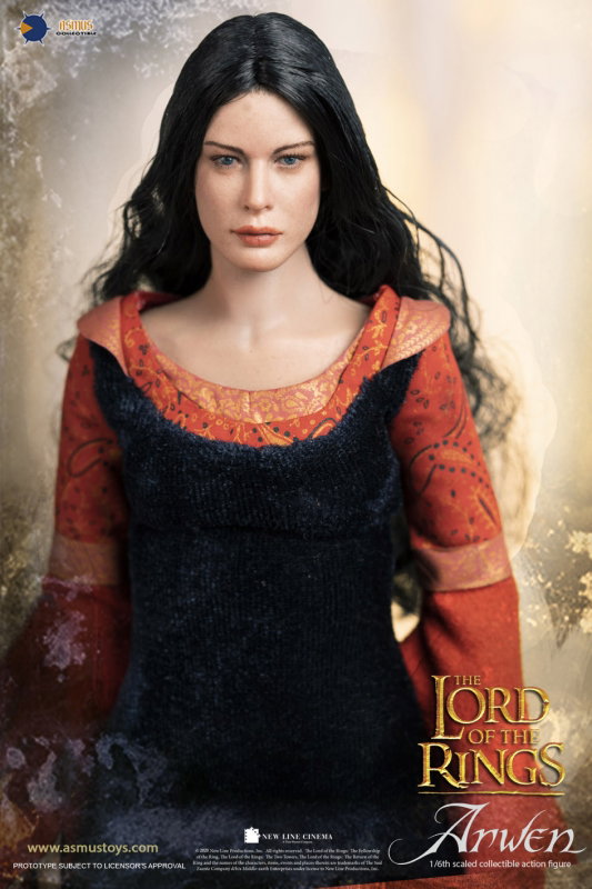The Lord Of The Rings : The Return of the King - Arwen image 7