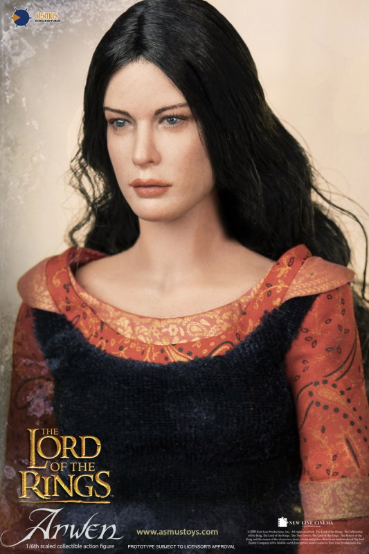 The Lord Of The Rings : The Return of the King - Arwen image 8