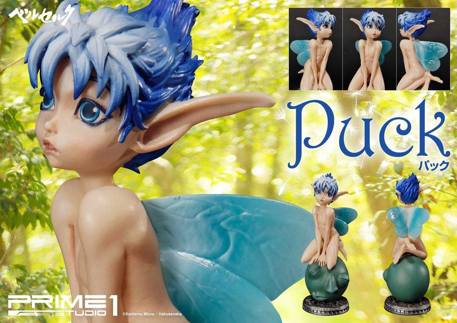 Puck image 4