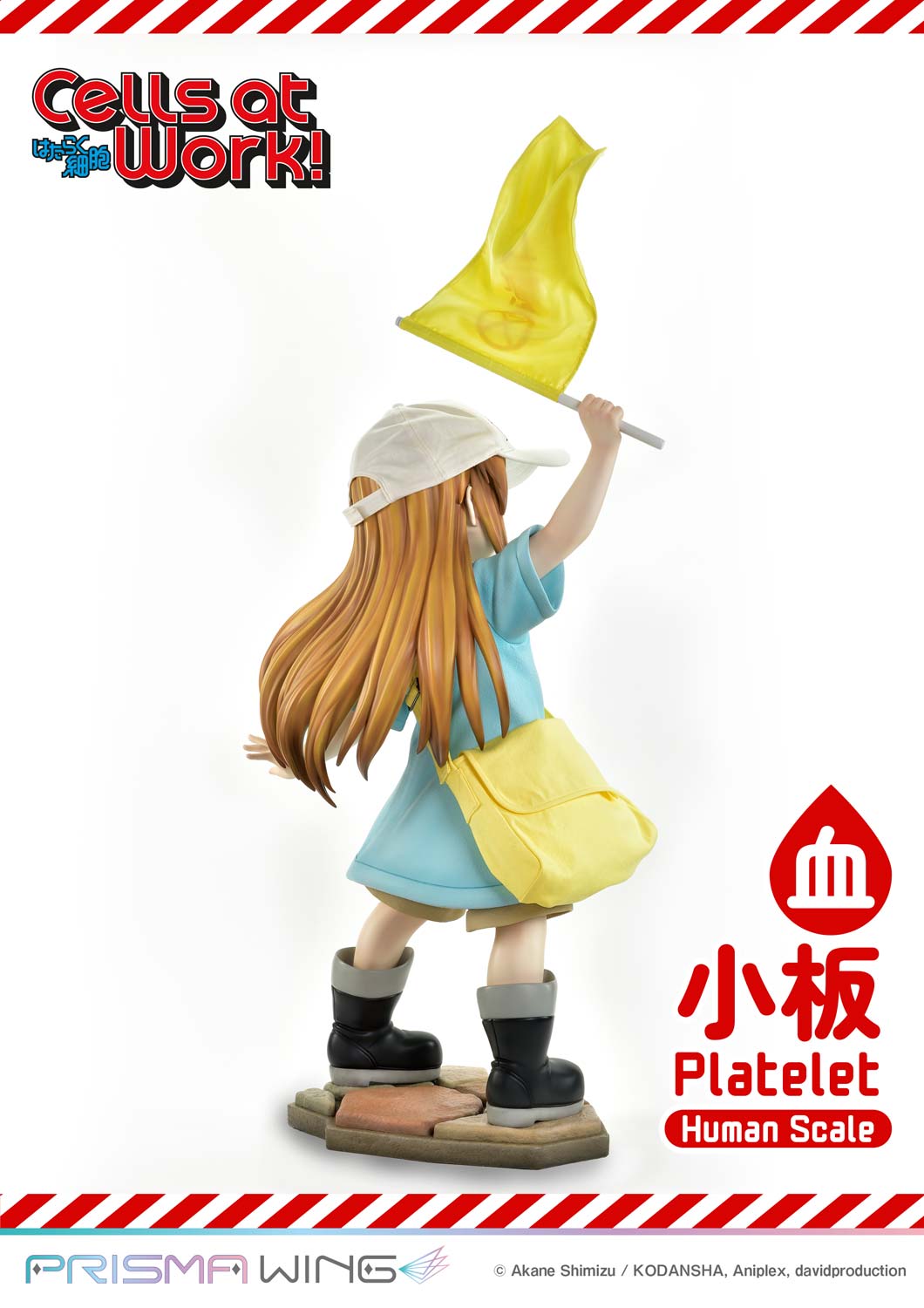 Platelet image 10