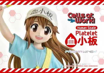 Platelet