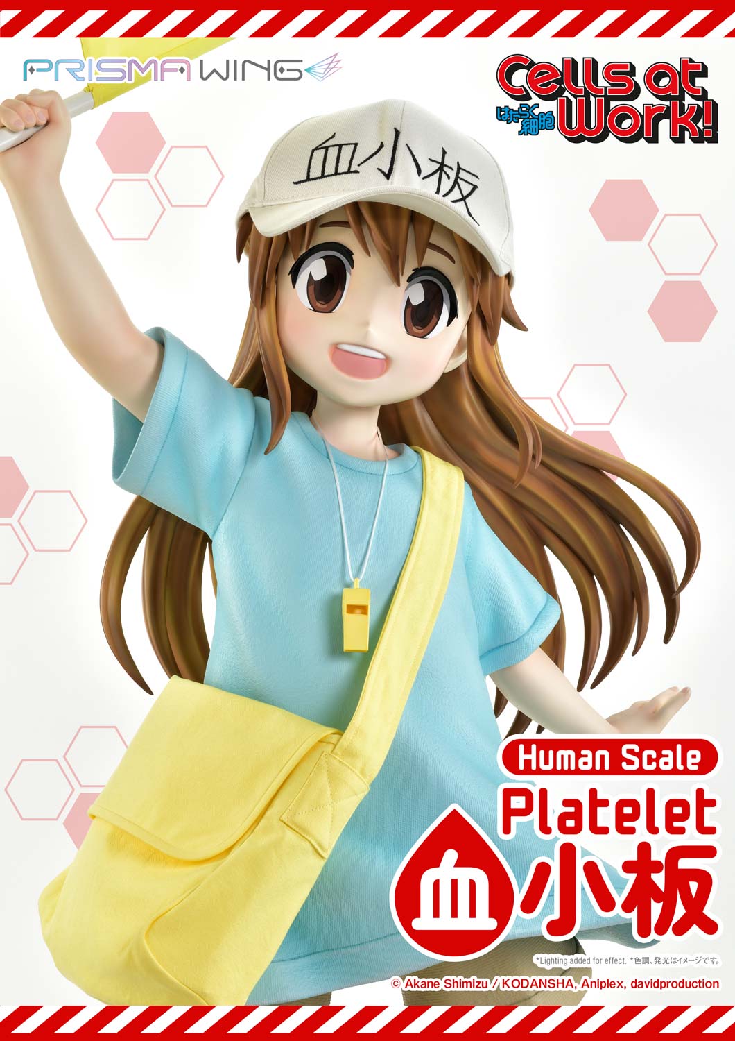 Platelet image 2