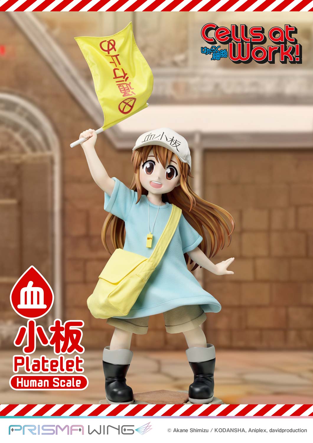 Platelet image 3