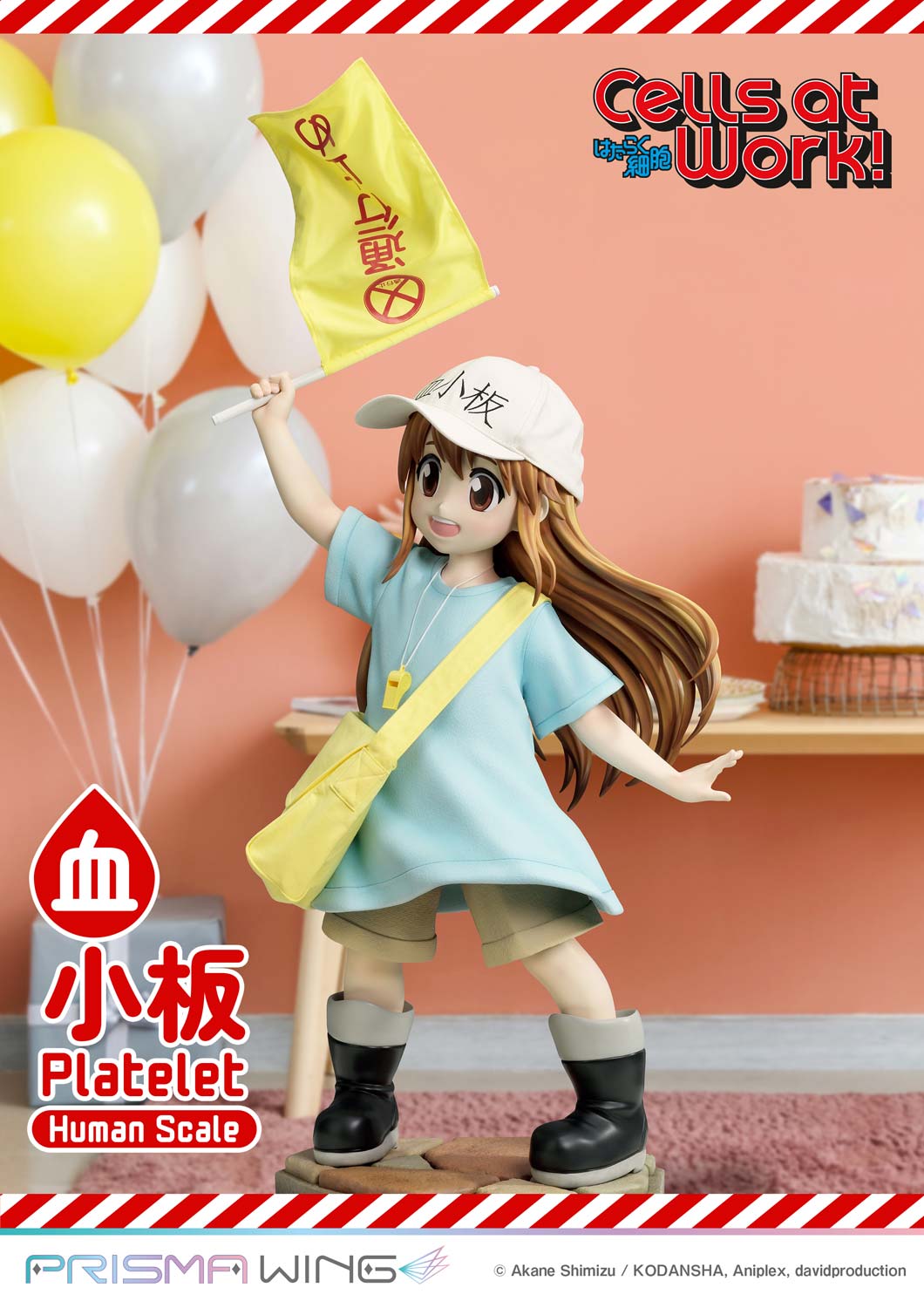 Platelet image 4