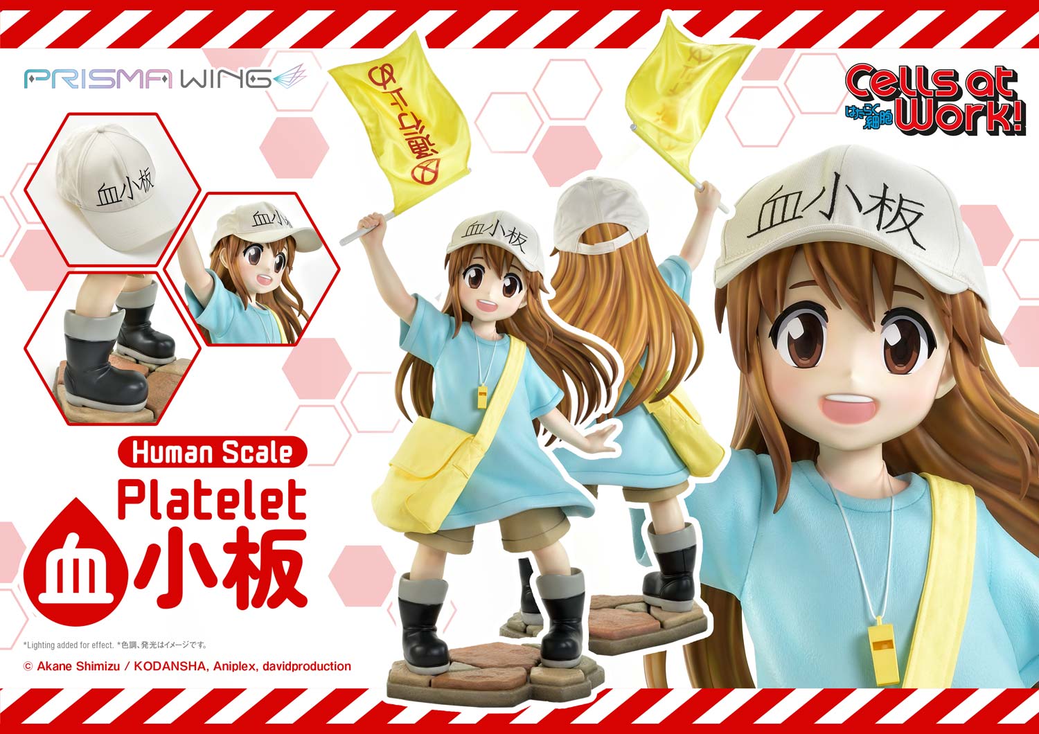 Platelet image 5