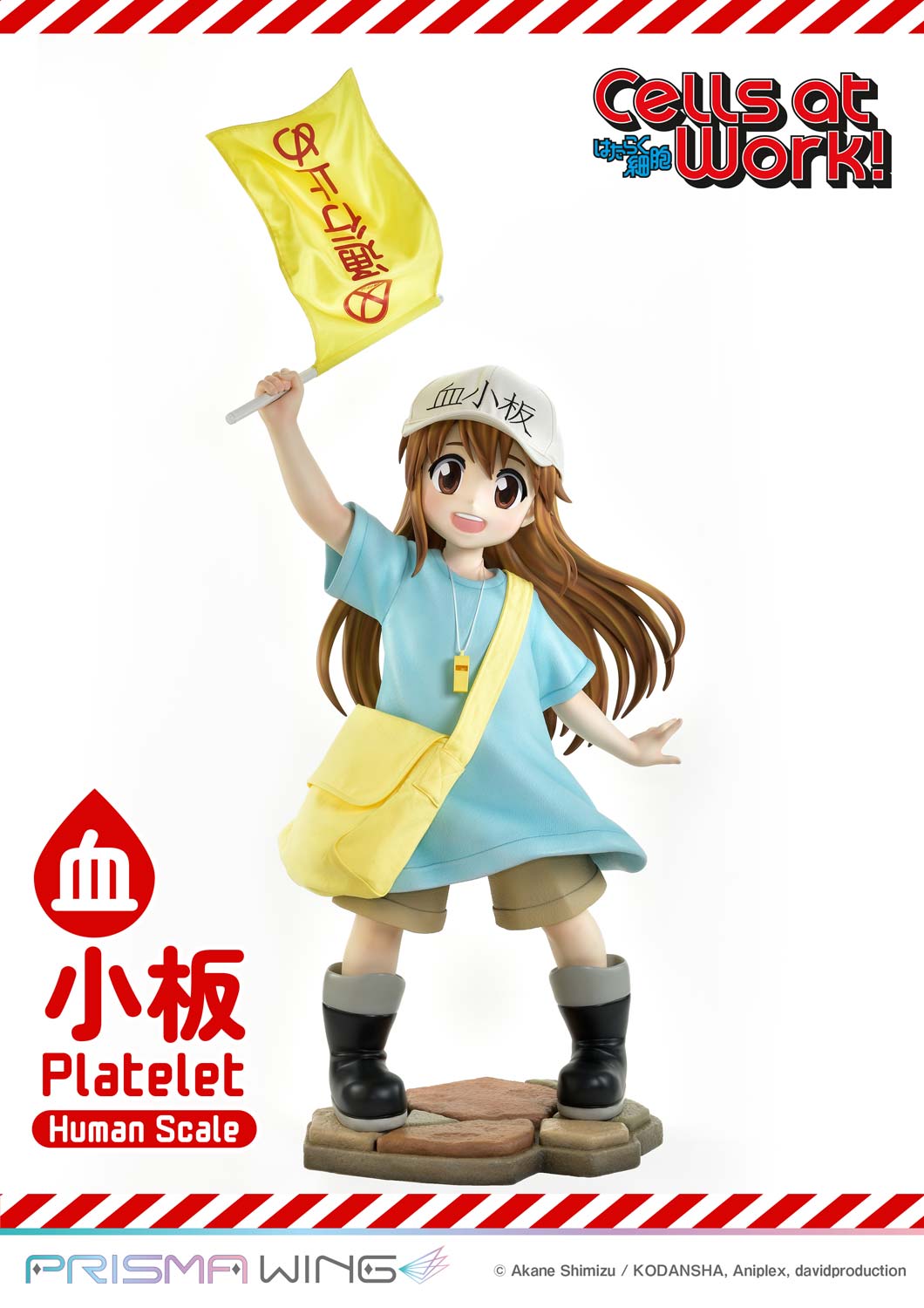 Platelet image 6