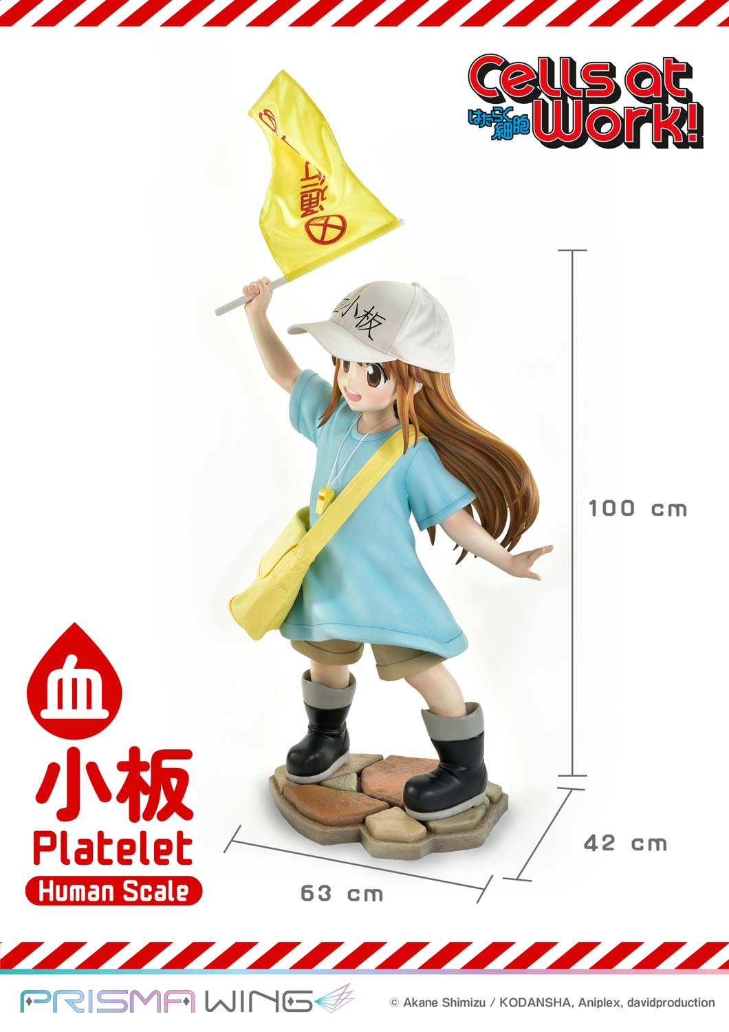 Platelet image 7