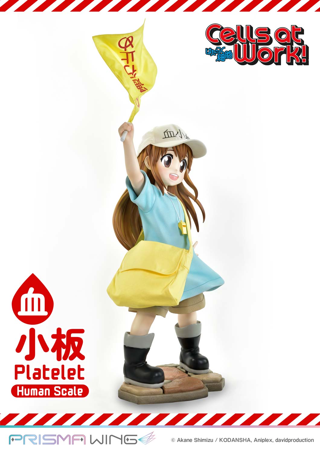 Platelet image 8