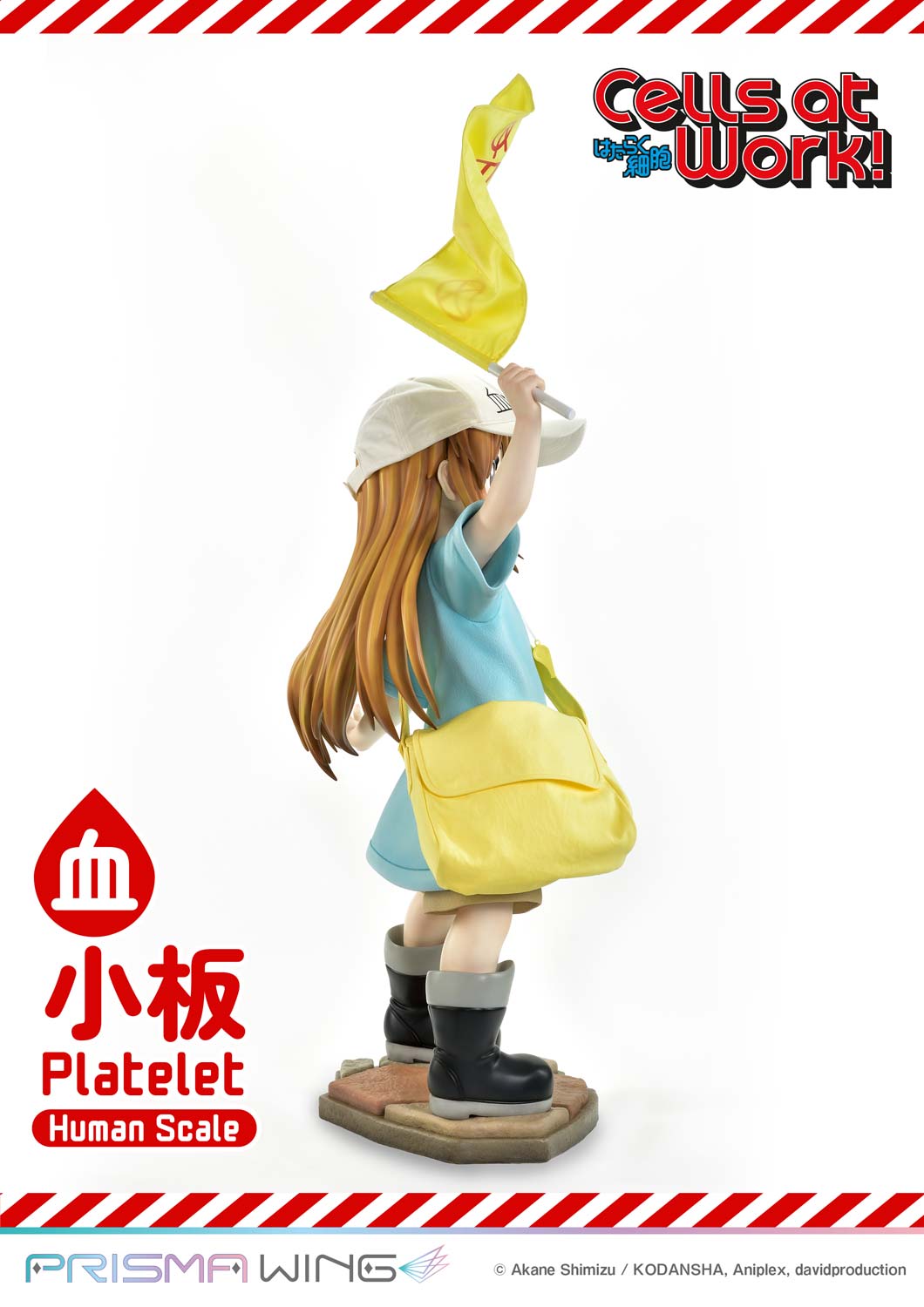 Platelet image 9