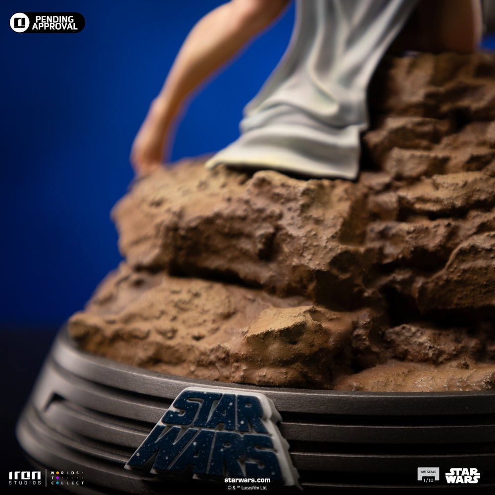 Luke and Leia - Star Wars image 10