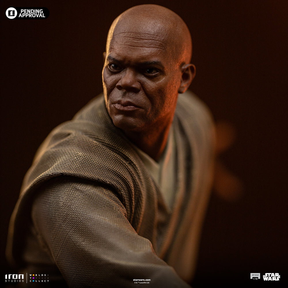 Mace Windu Star Wars image 2