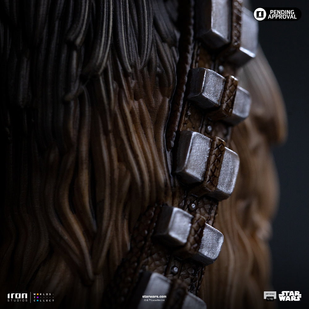 Chewbacca and Tokkat - Star Wars image 7