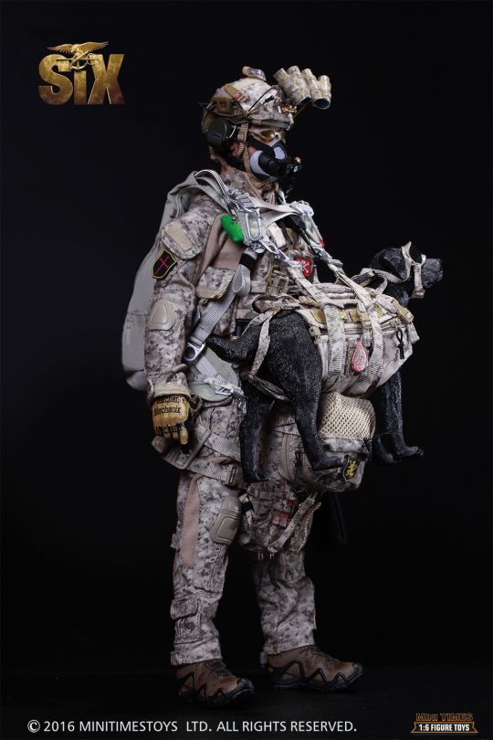 Seal Team VI image 2