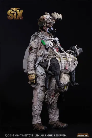 Seal Team VI