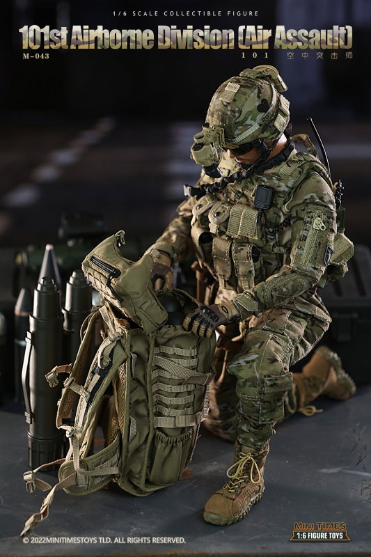 101st Airborne Division - Air Assault image 6