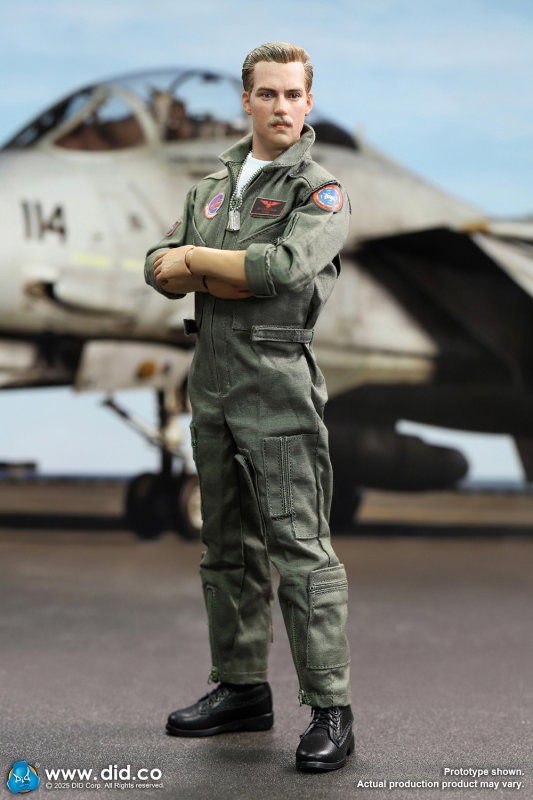 US Navy Fighter F-14 Pilot - Tom & Nick image 10