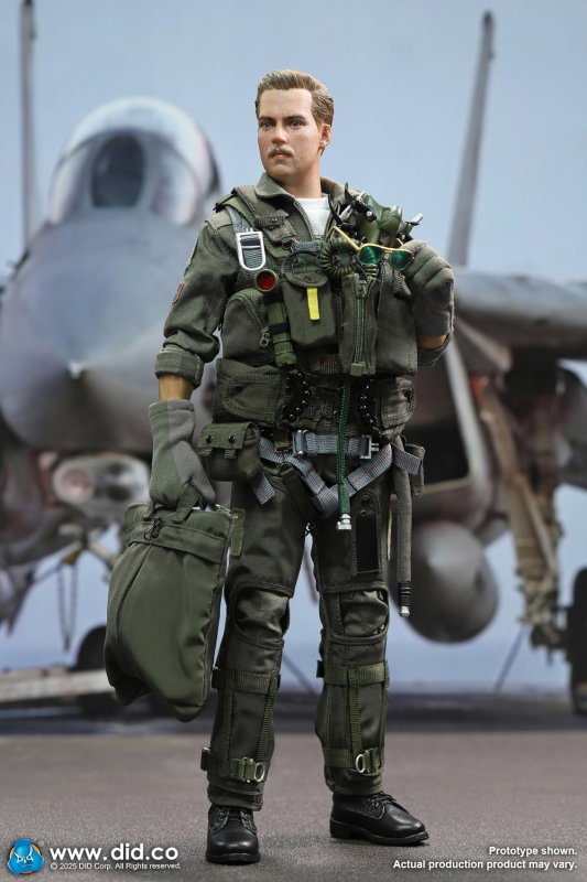 US Navy Fighter F-14 Pilot - Tom & Nick image 2