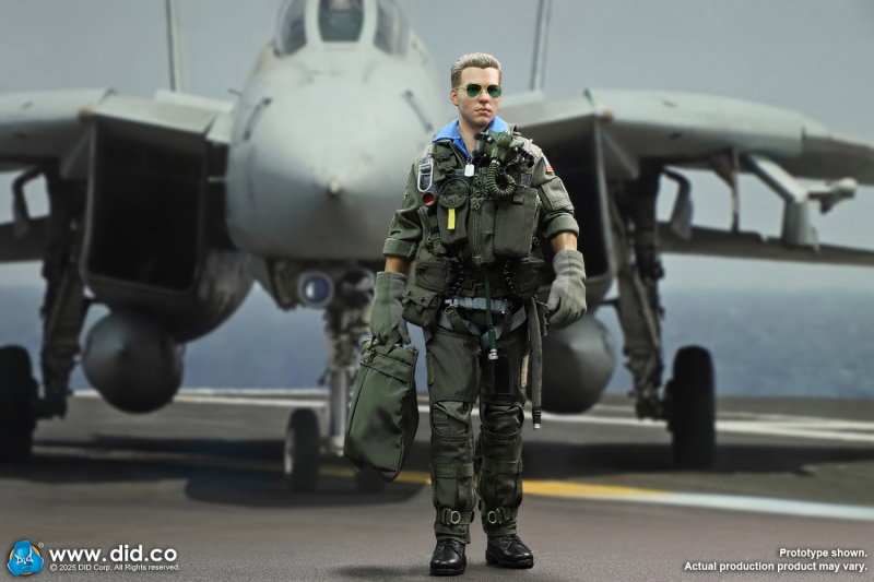 US Navy Fighter F-14 Pilot - Tom & Nick image 4