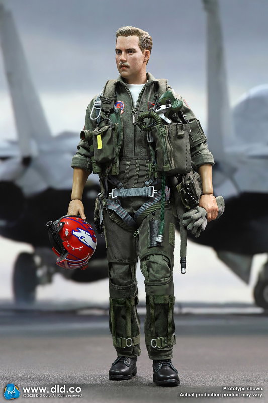US Navy Fighter F-14 Pilot - Tom & Nick image 5