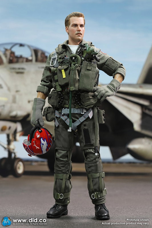 US Navy Fighter F-14 Pilot - Tom & Nick image 7