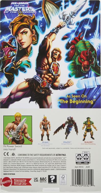 Masters of the Universe: Origins He-Man (200X Cartoon Collection) image 10