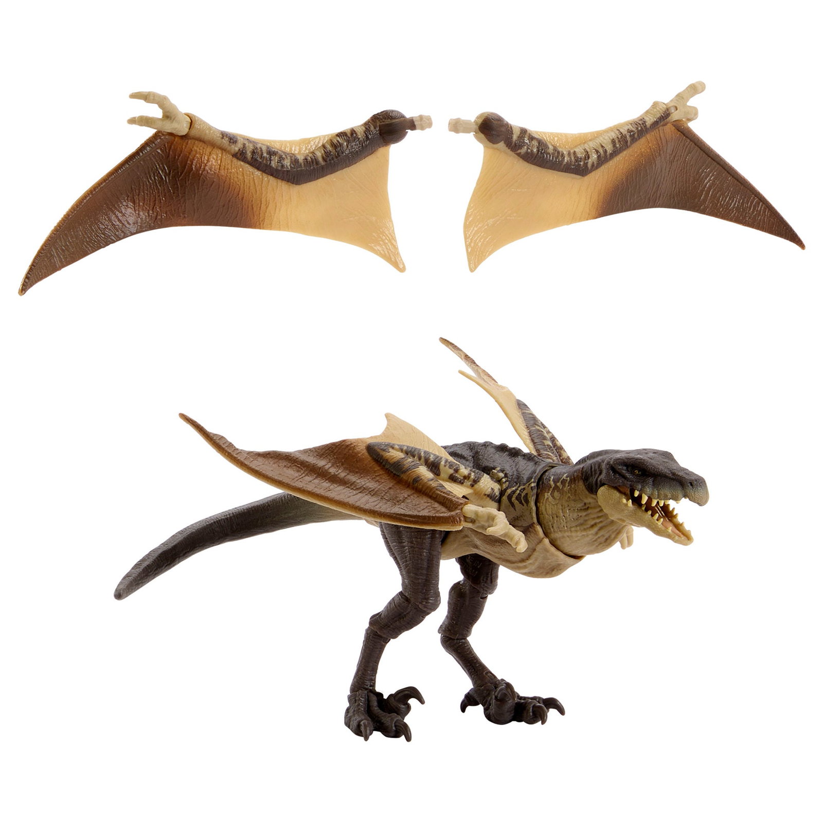 Jurassic World Hammond Collection Mutadon image 7