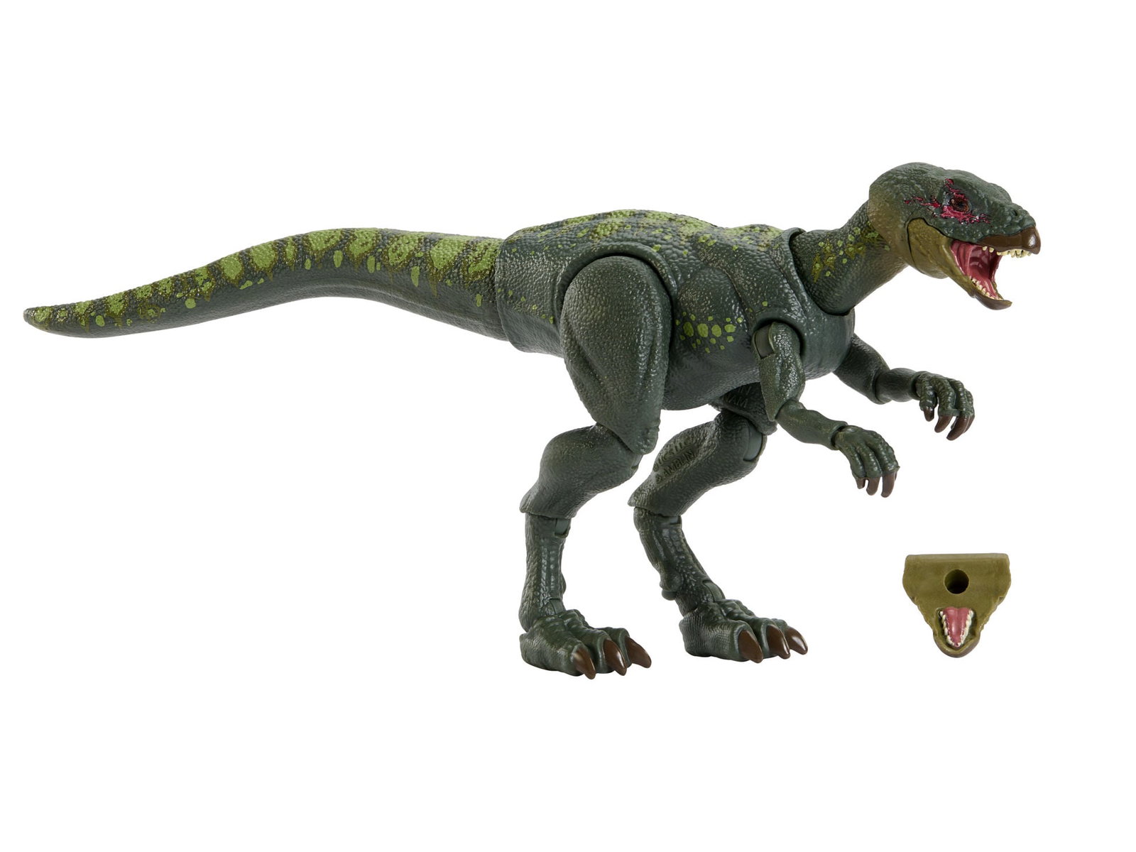 Jurassic World Hammond Collection Hypsilophodon image 7