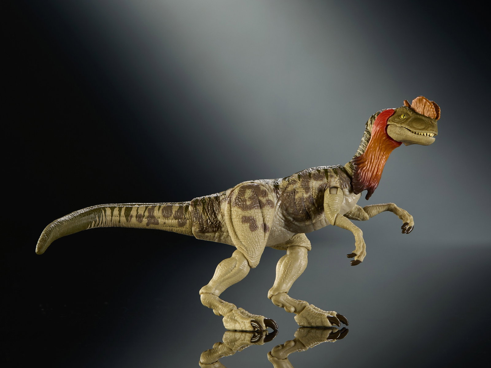 Jurassic World Hammond Collection Dilophosaurus image 3