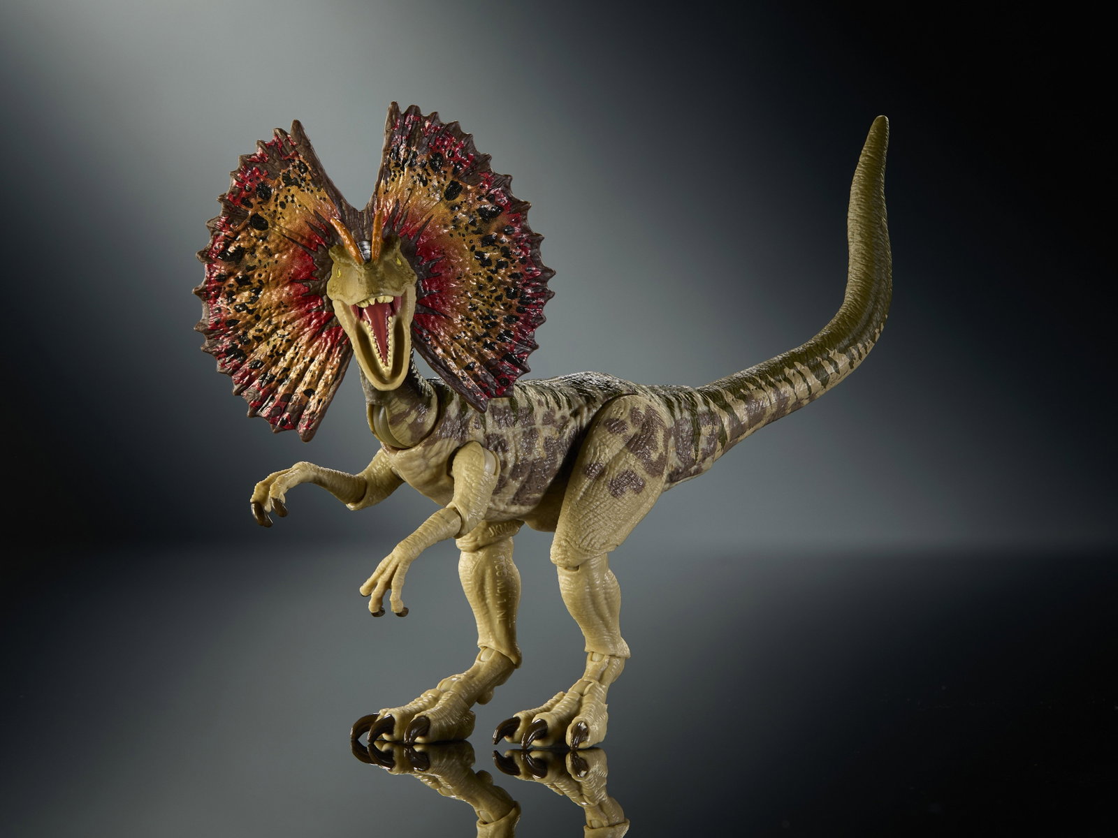 Jurassic World Hammond Collection Dilophosaurus image 4