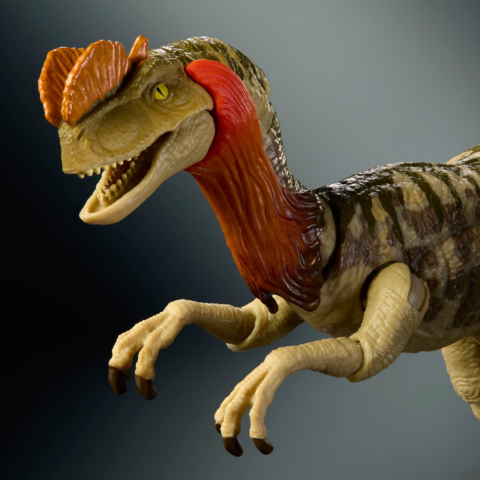 Jurassic World Hammond Collection Dilophosaurus image 5