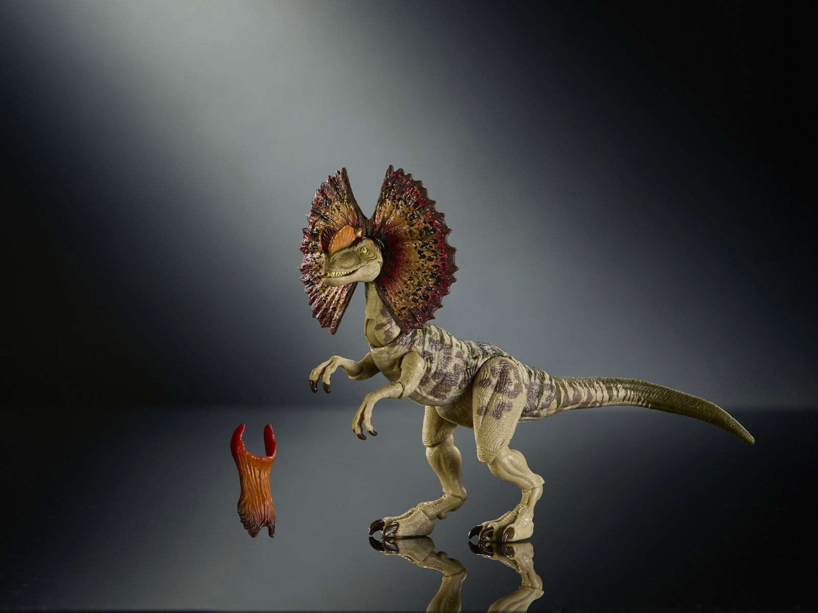 Jurassic World Hammond Collection Dilophosaurus image 6
