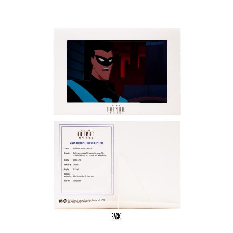 The New Batman Adventures Nightwing image 10