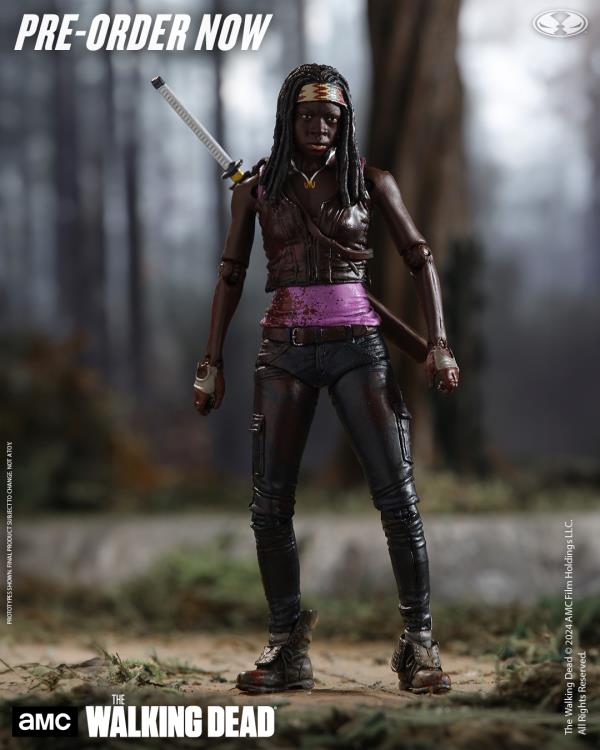 The Walking Dead (TV Series) Michonne image 3