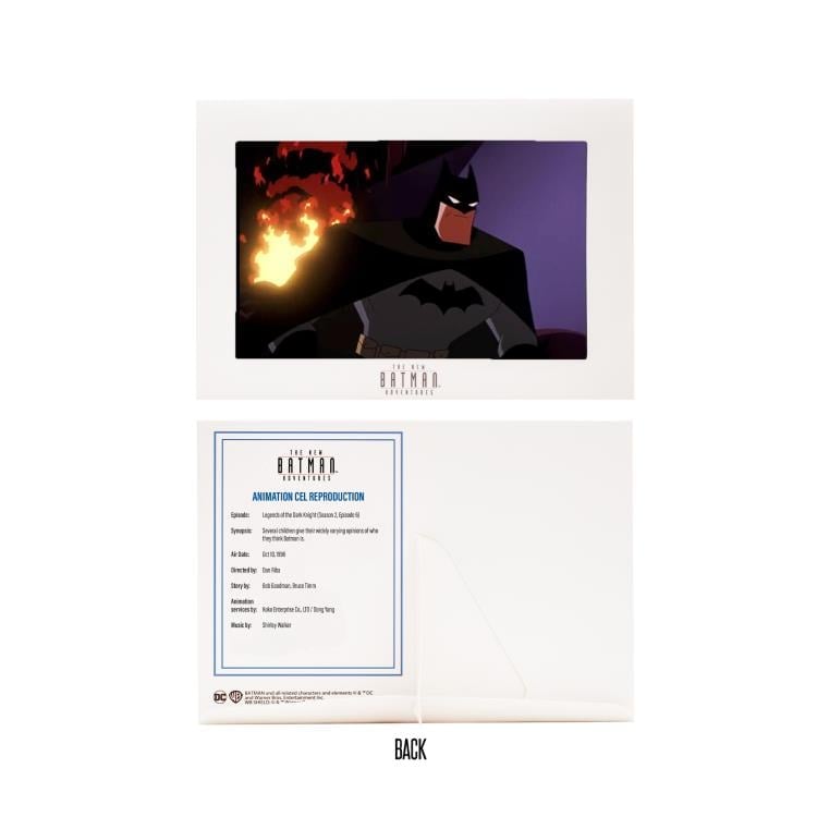 The New Batman Adventures Batman (Blue/Grey) image 10