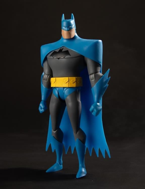 The New Batman Adventures Batman (Blue/Grey) image 5