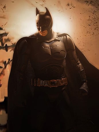 Batman Begins DC Multiverse Batman image 2