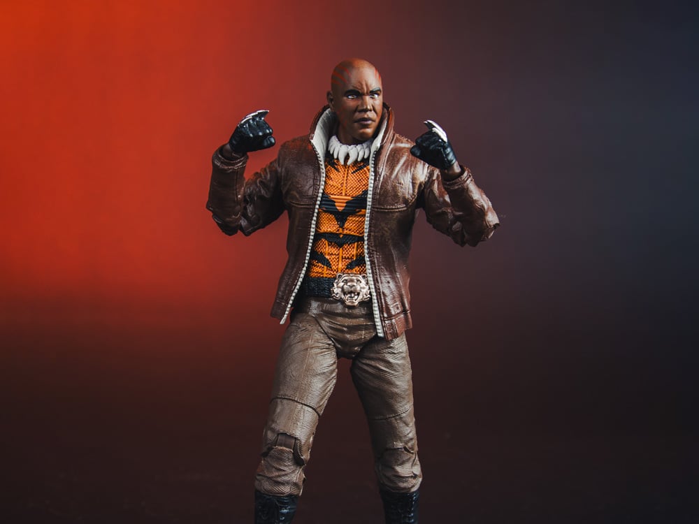 The New 52 DC Multiverse Bronze Tiger image 1