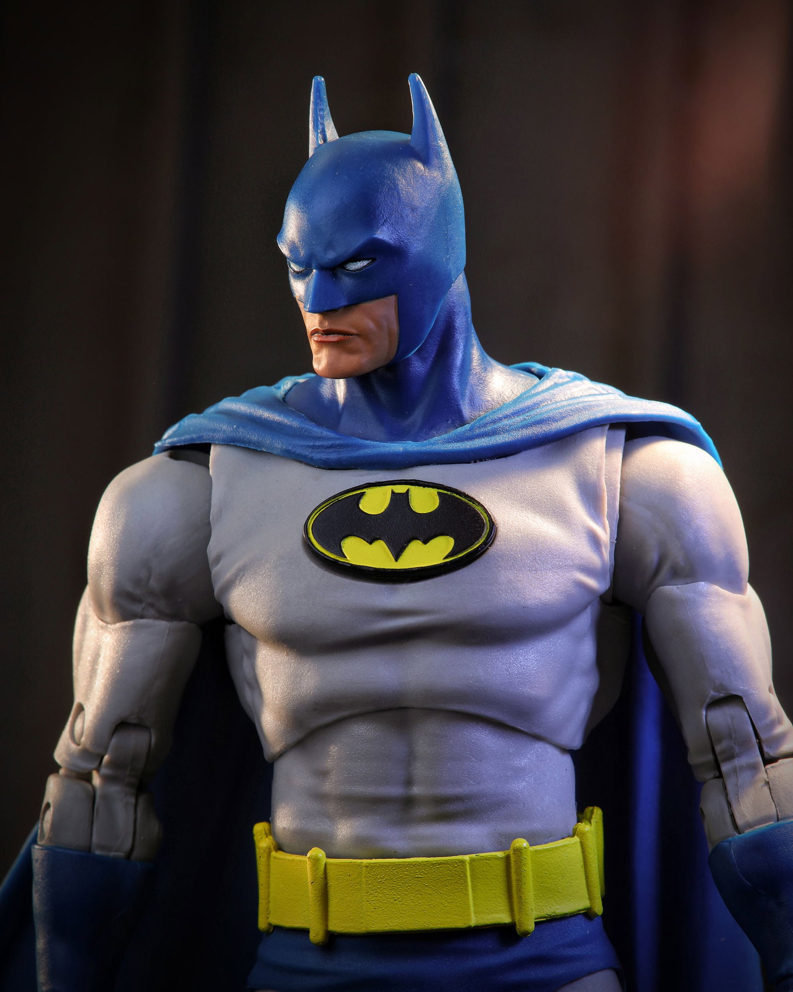 Batman: Knightfall DC Multiverse McFarlane Vault Collection Batman image 8