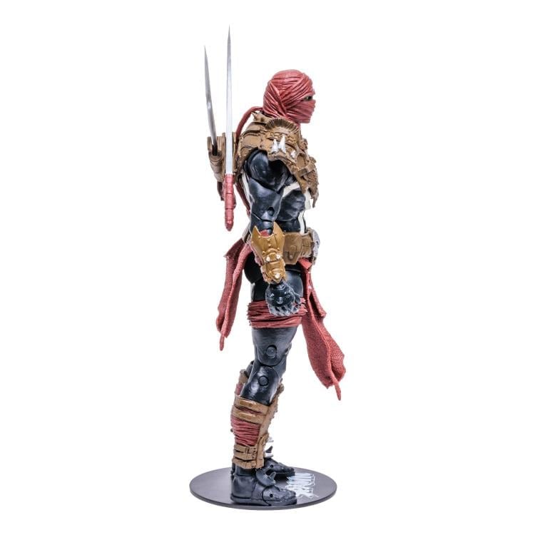 Spawn's Universe Ninja Spawn image 5